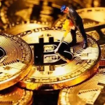 Latest Trezor Wallet Enhanced Security & New Features for Crypto Holders in 2026